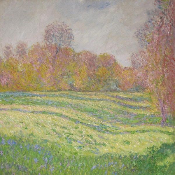 Strawberry Guy: Sun Outside My Window (180g) (Baby Blue Vinyl) (LP)