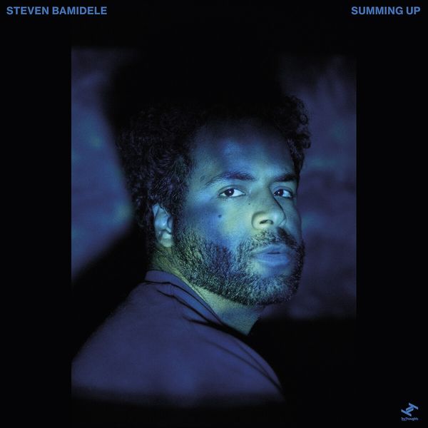 Steven Bamidele: Summing Up (Vinyl-LP)