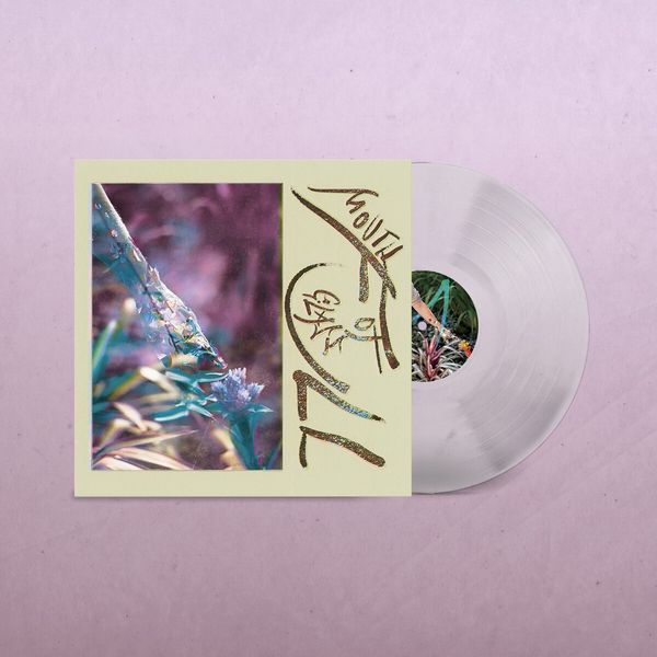 Macie Stewart: Mouth Full of Glass (Clear Vinyl) (Vinyl-LP)