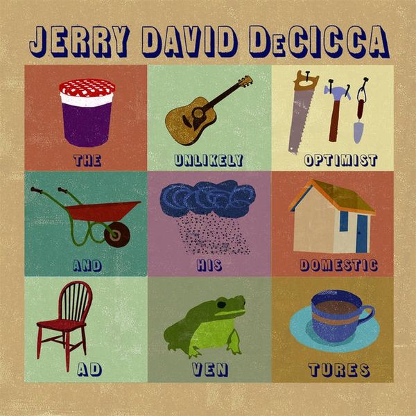 Jerry David DeCicca: The Unlikely Optimist And His Domestic A... (LP)