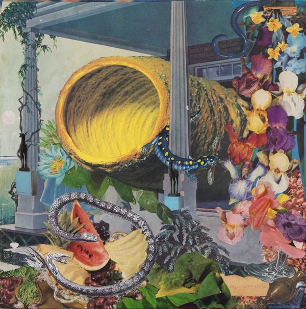Memotone: Pruning (Vinyl-LP) (Vinyl-LP)