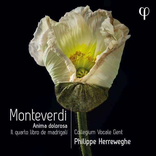 Claudio Monteverdi: Madrigali Libro 4 "Anima dolorosa" (CD)