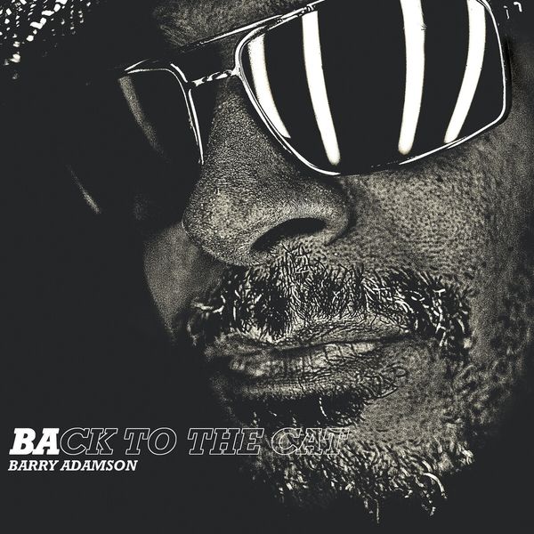 Barry Adamson: Back To The Cat (CD)