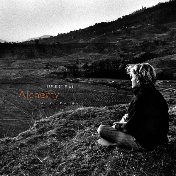 David Sylvian: Alchemy: An Index Of Possibilities (Gold Vinyl) (LP)