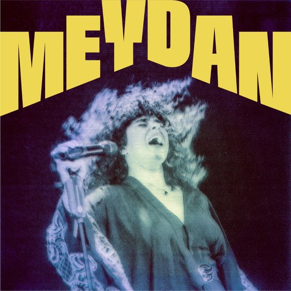 Meral Polat: Meydan (Vinyl-LP)