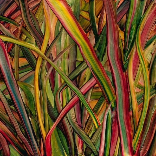 Gengahr: Where Wildness Grows (Vinyl-LP)