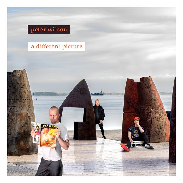 Peter Wilson: A Different Picture (CD)