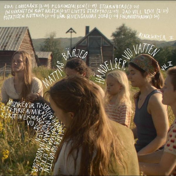 Mattias Bärjed: Handelser Vid Vatten Vol. 2 (Vinyl-LP)