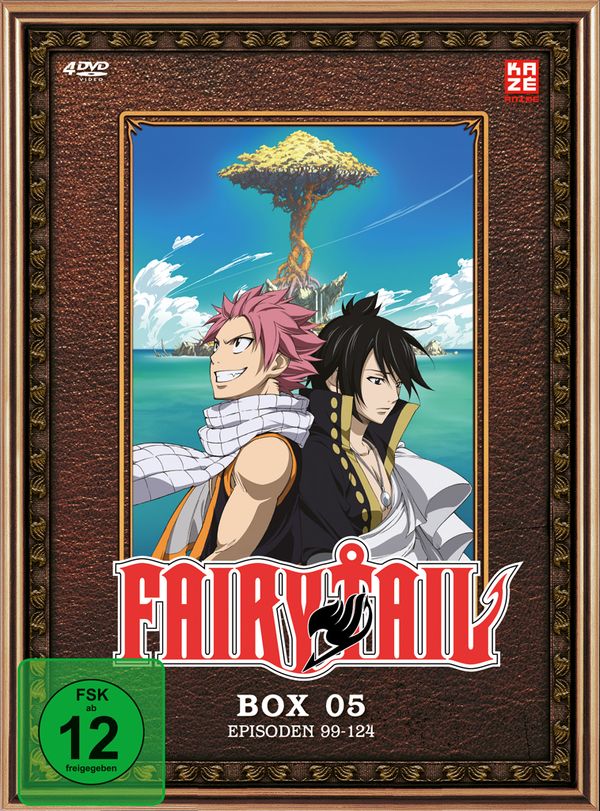 Fairy Tail Box 5 (4 DVDs)