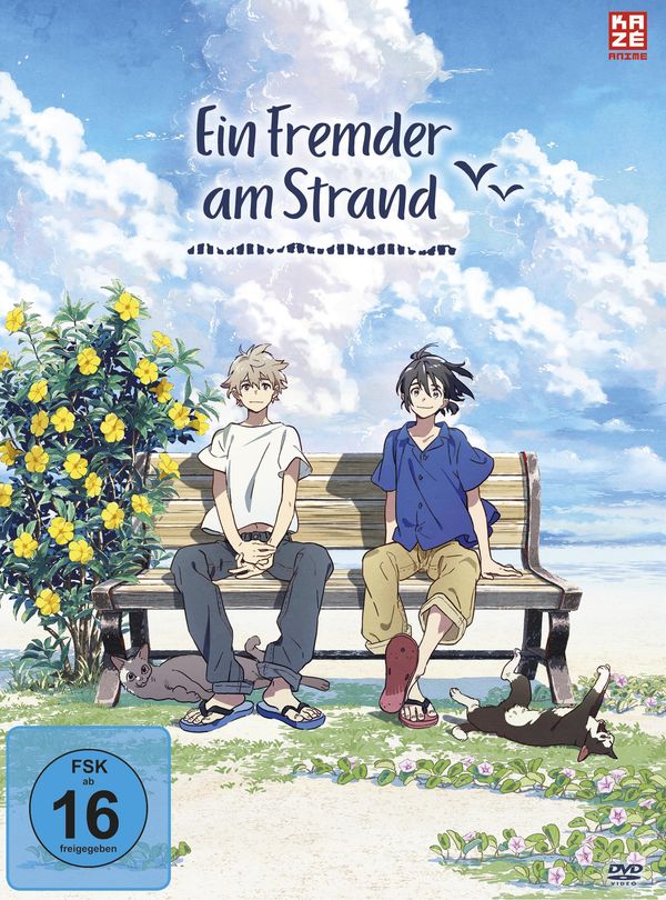 Ein Fremder am Strand (DVD)