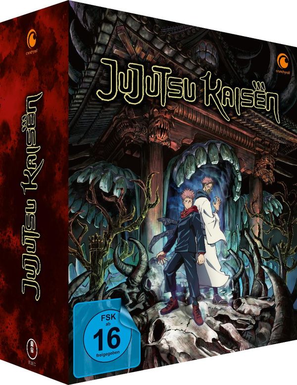 Jujutsu Kaisen Staffel 1 (Gesamtausgabe) (4 DVDs)