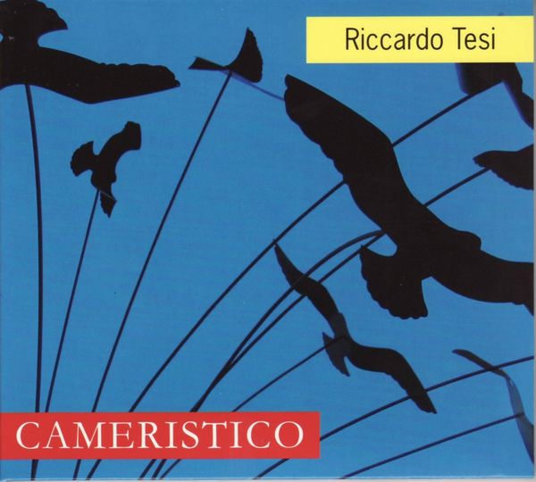 Riccardo Tesi: Cameristico (CD)