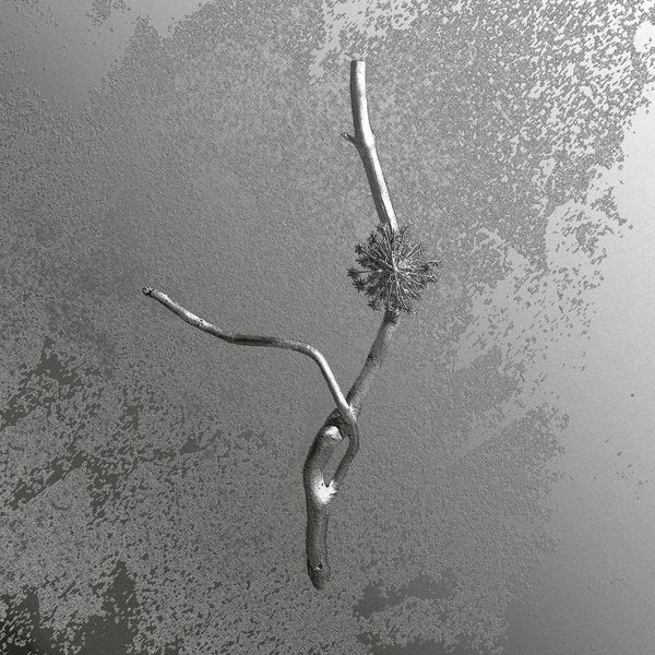 Gaia Banfi: La Maccaia (CD)