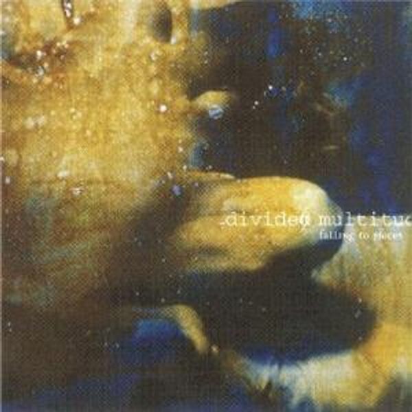 Divided Multitude: Falling To Pieces (CD)