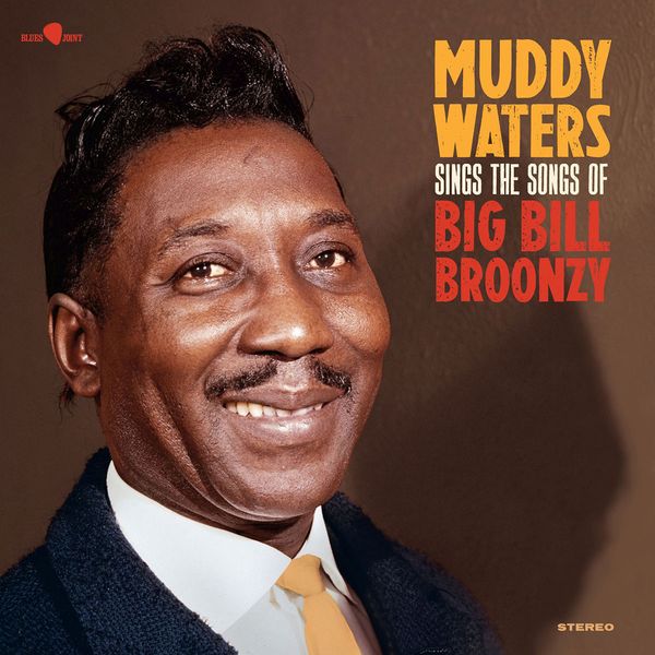 Muddy Waters: Sings the Songs of Big Bill Broonzy (180g) (5 B... (LP)