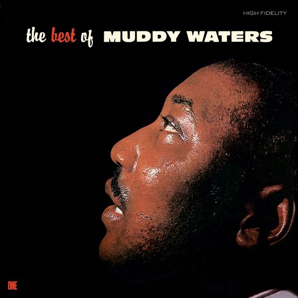 Muddy Waters: The Best Of Muddy Waters (180g) (Limited Virgin... (LP)