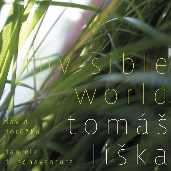 Tomá ̈ Li ̈ka: Invisible World (CD)