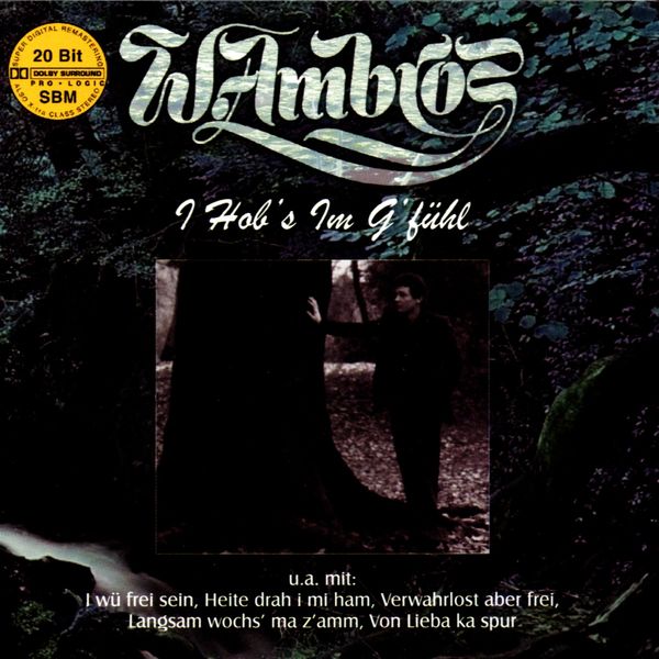 Wolfgang Ambros: I hobs im Gfühl (CD)