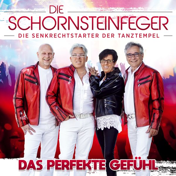 Die Schornsteinfeger: Das perfekte Gefühl (CD)