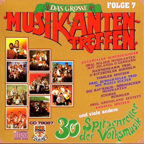 Das große Musikantentreffen Folge 7 (CD)