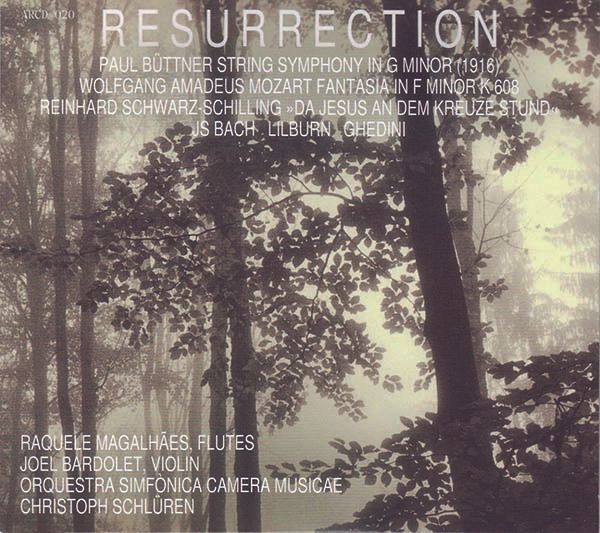 Paul Büttner: Streichquartett g-moll (arr. für Streichorchest... (CD)