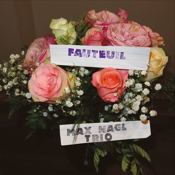 Max Nagl Trio: Fauteuil (Vinyl-LP)