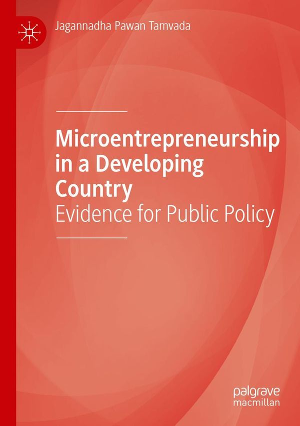 Microentrepreneurship in a Developing Country (Buch)