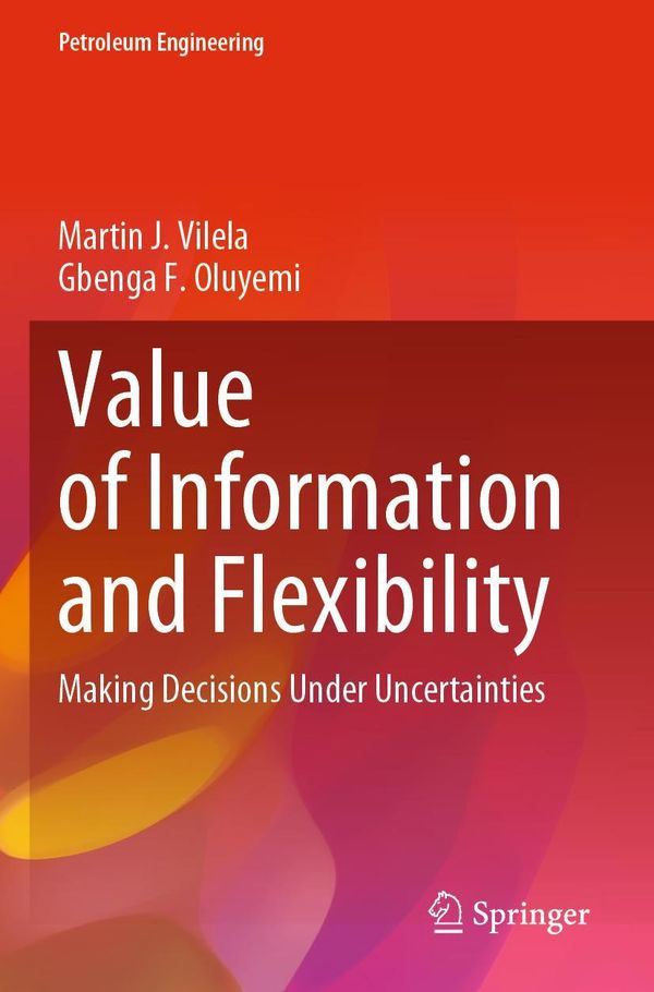 Value of Information and Flexibility - Martin J. Vilela (Buch)