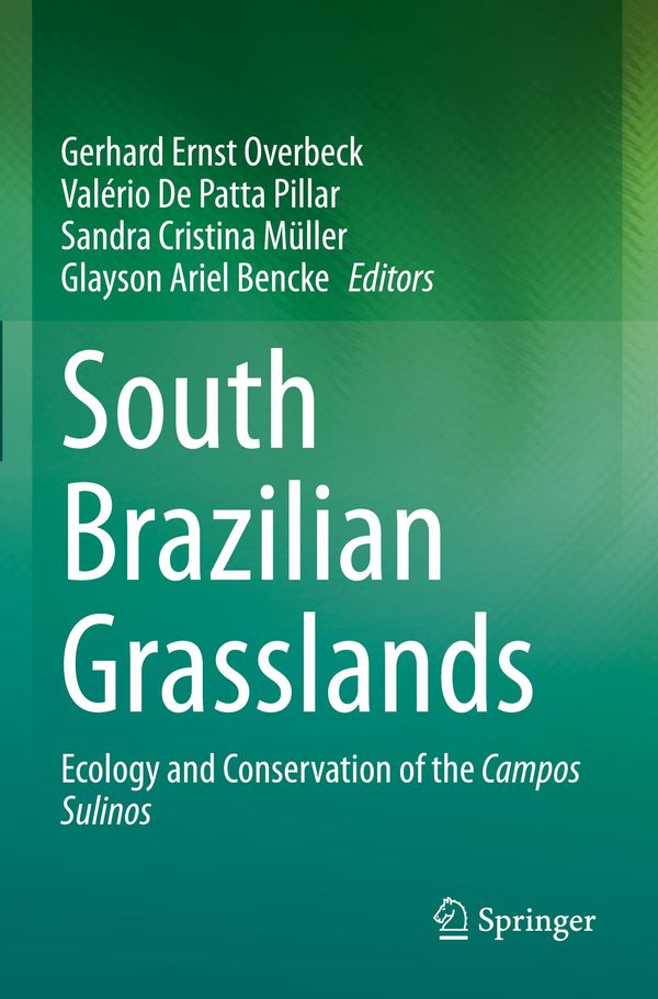 South Brazilian Grasslands