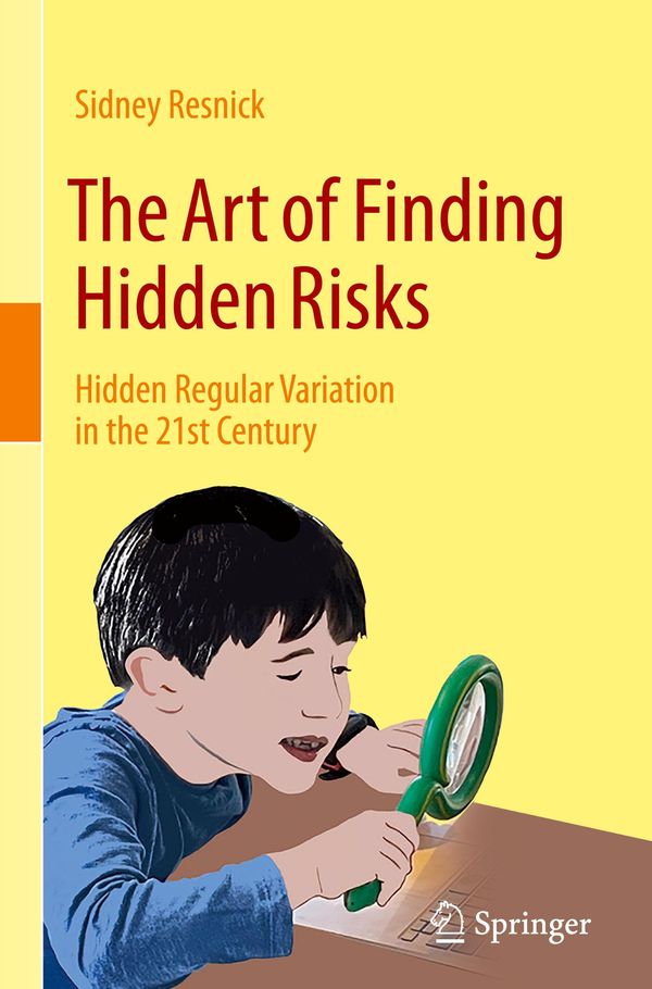 The Art of Finding Hidden Risks - Sidney Resnick (Buch)