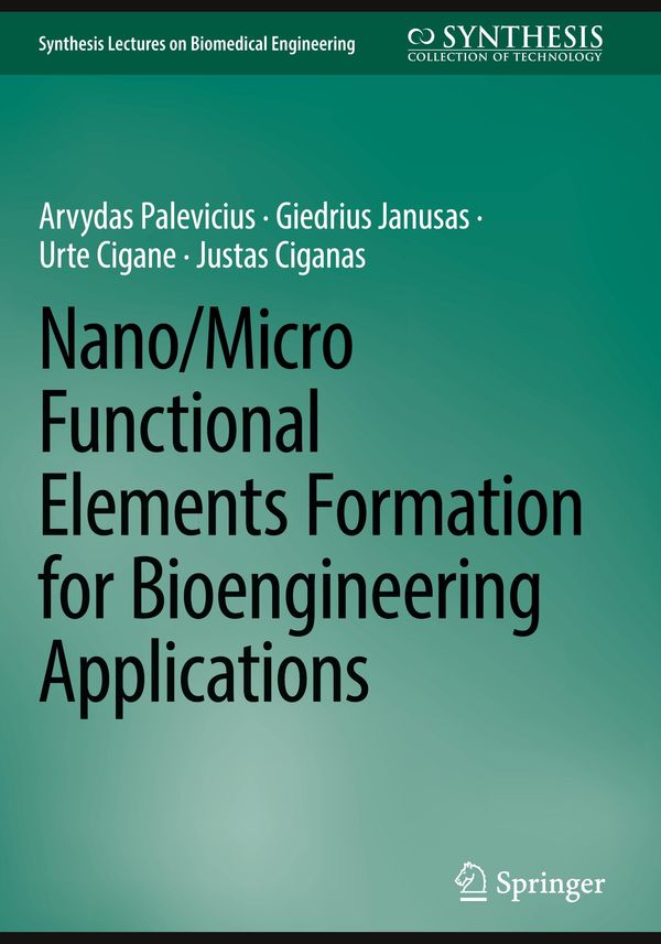 Nano/Micro Functional Elements Formation for Bioengineering Applica...