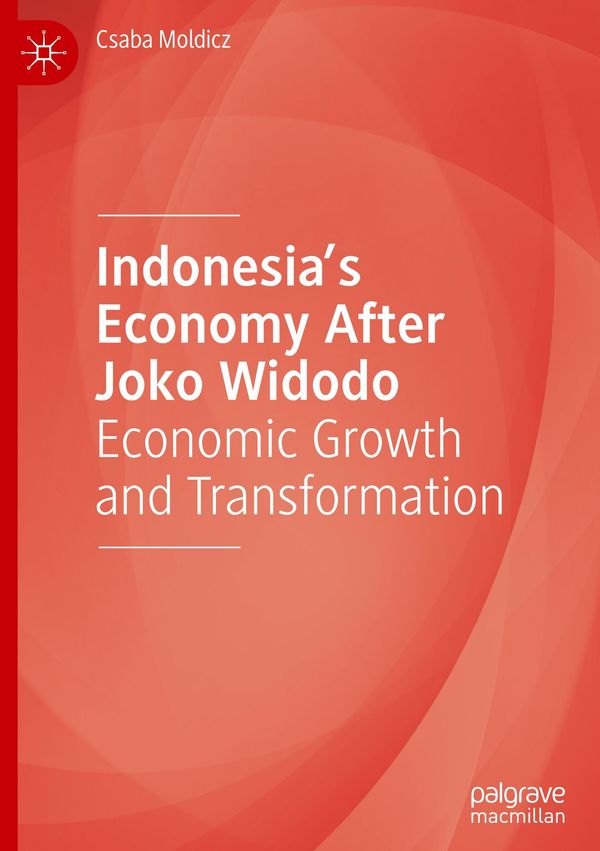 Indonesias Economy After Joko Widodo - Csaba Moldicz (Buch)