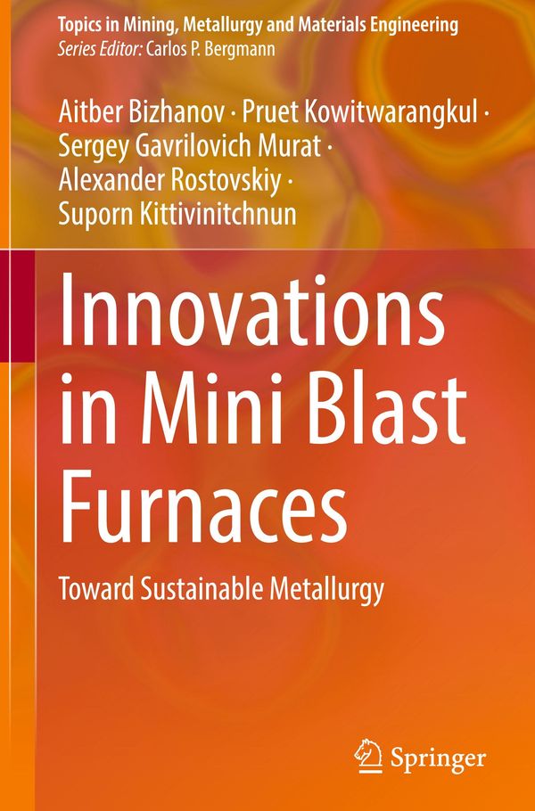 Innovations in Mini Blast Furnaces - Aitber Bizhanov (Buch)