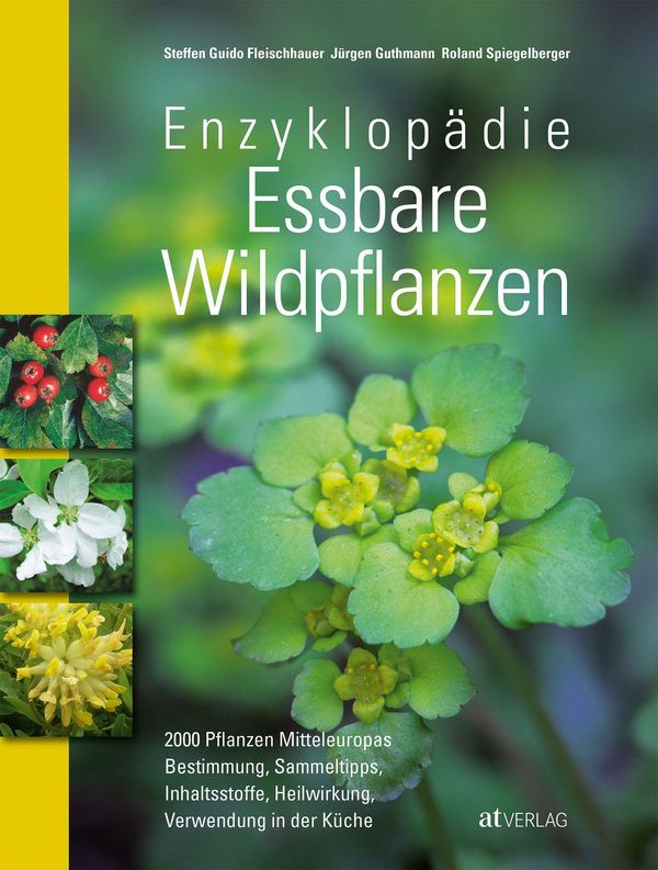 Enzyklopädie Essbare Wildpflanzen - Steffen Guido Fleischhauer (Buch)