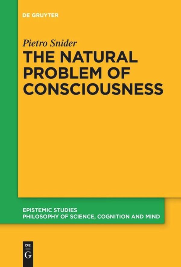 The Natural Problem of Consciousness - Pietro Snider (Buch)