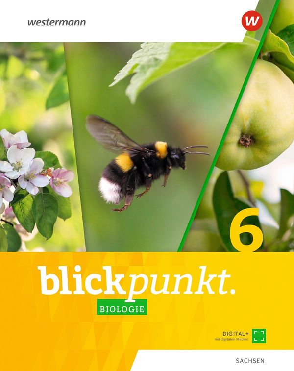 Blickpunkt Biologie 6. Schulbuch. Für Sachsen (Buch)