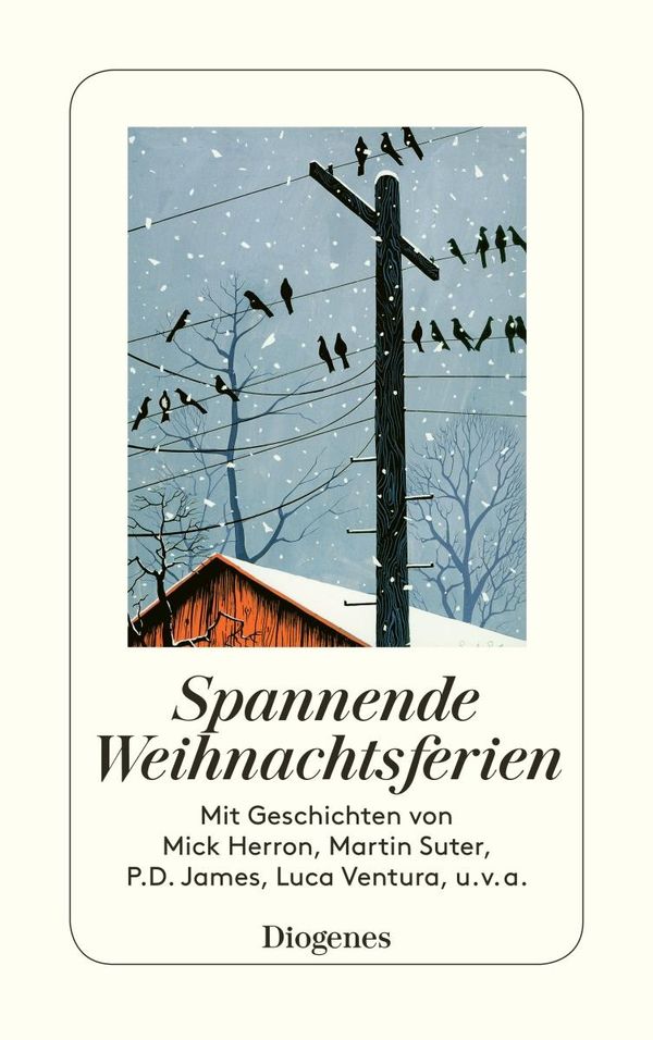 Spannende Weihnachtsferien (Buch)