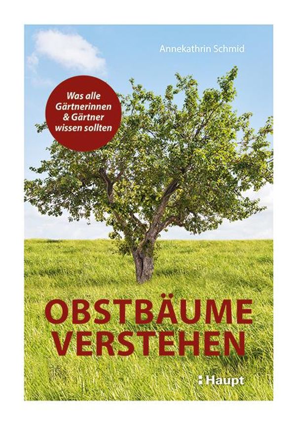 Obstbäume verstehen - Annekathrin Schmid (Buch)