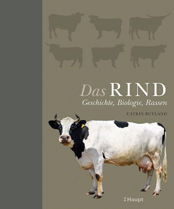 Das Rind - Catrin Rutland (Buch)