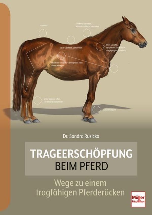 Trageerschöpfung beim Pferd - Sandra Ruzicka (Buch)