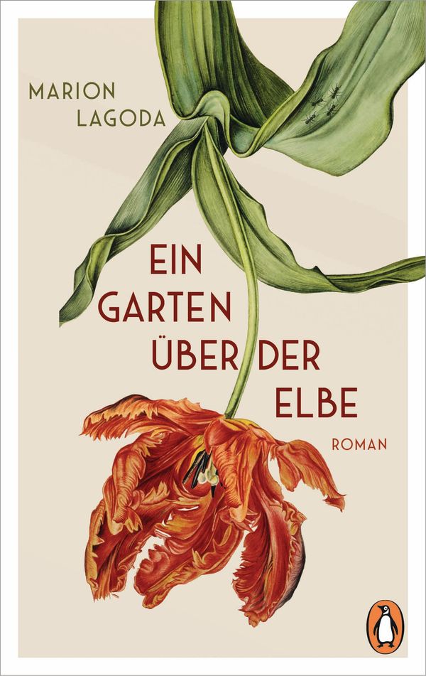 Ein Garten über der Elbe - Marion Lagoda (Buch)