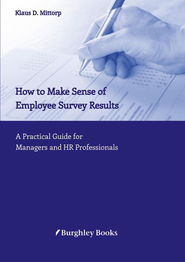 How to Make Sense of Employee Survey Results - Klaus D. Mittorp (Buch)