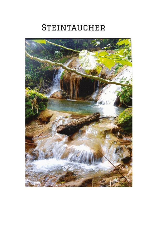 "STEINTAUCHER"Liebesdurstige Beobachtungen eines in die Jahre gek...
