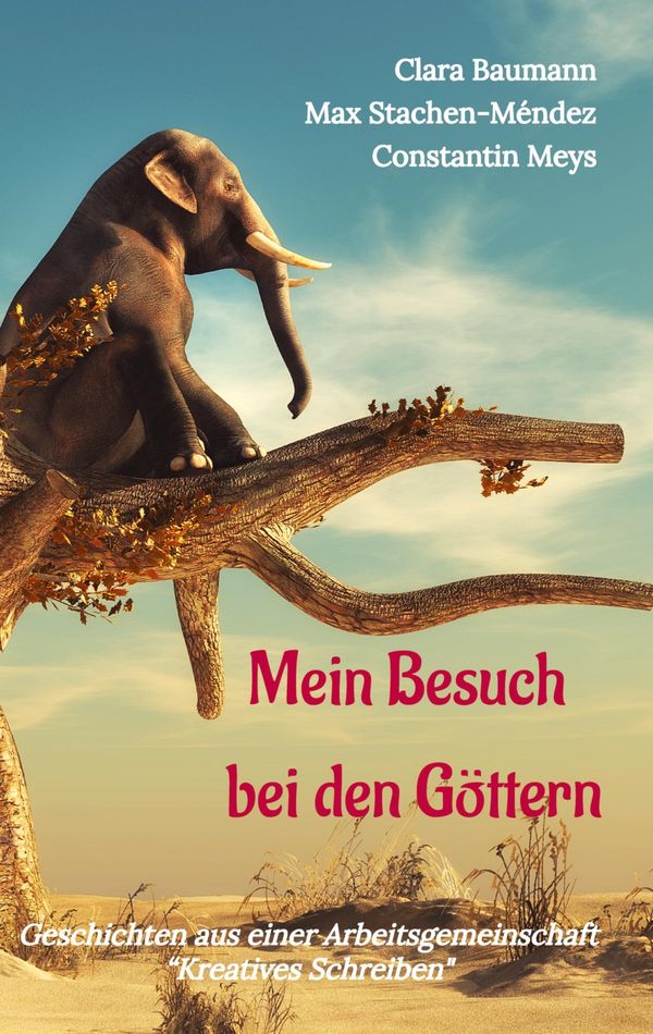Mein Besuch bei den Göttern - Clara Baumann (Buch)