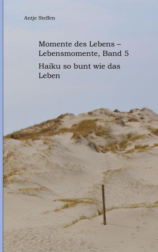 Momente des Lebens - Lebensmomente Band 5 - Antje Steffen (Buch)