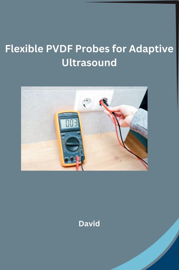 Flexible PVDF Probes for Adaptive Ultrasound - David (Buch)