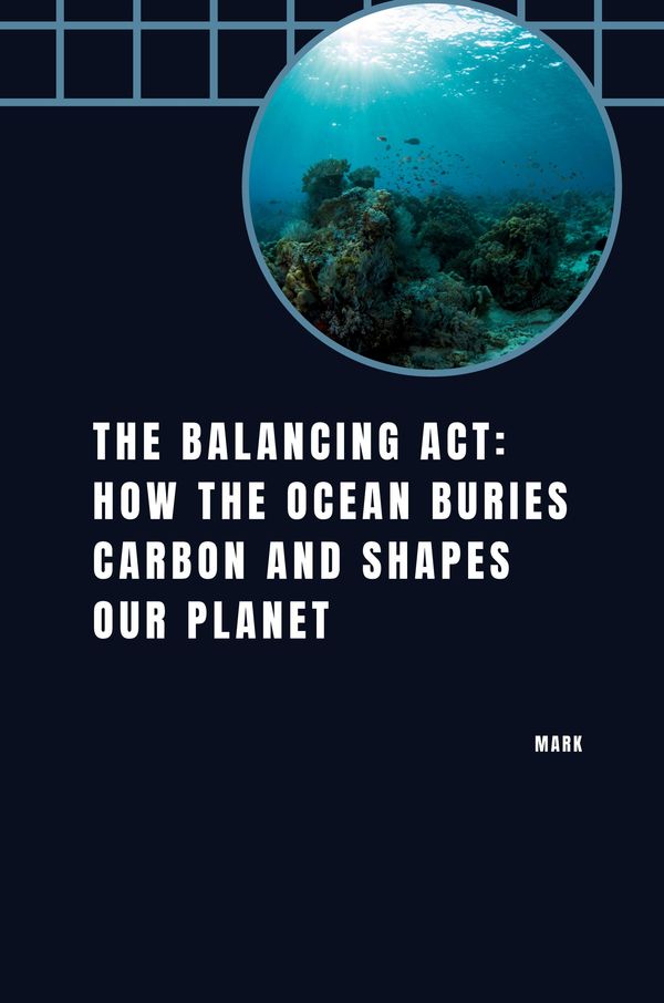 The Balancing Act: How the Ocean Buries Carbon and Shapes Our Plane...
