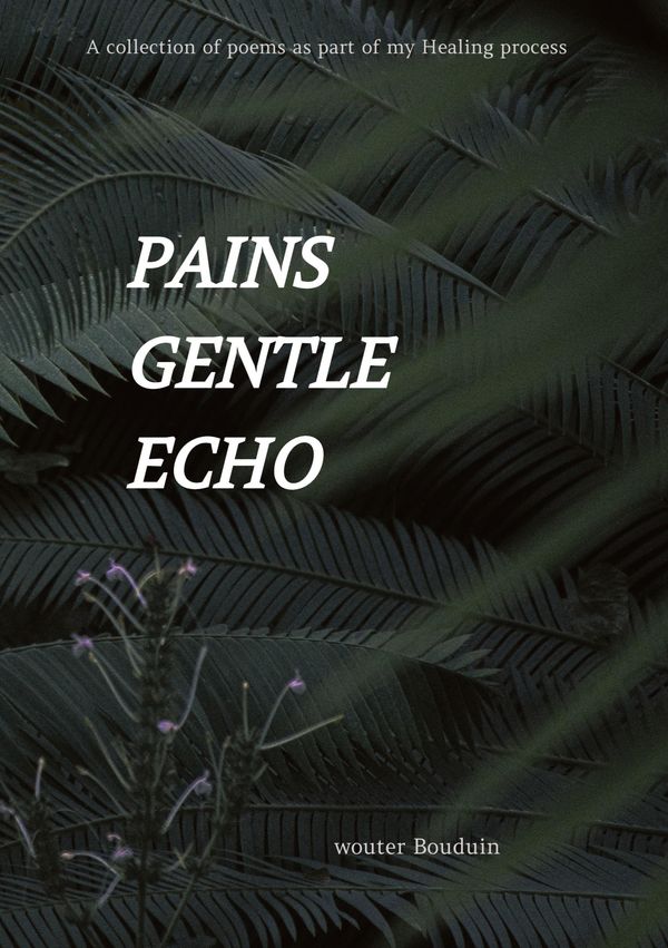 Pains gentle echo - Wouter Bouduin (Buch)
