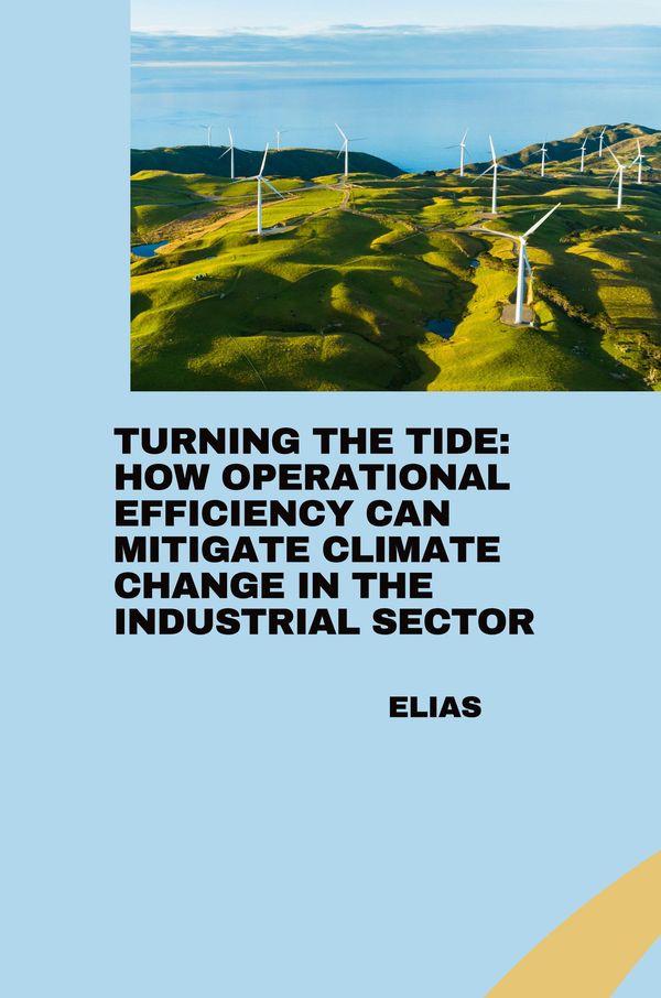 Turning the Tide: How Operational Efficiency Can Mitigate Climate C...