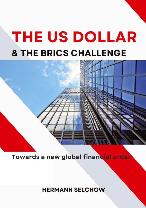 The US Dollar and the BRICS Challenge - Hermann Selchow (Buch)